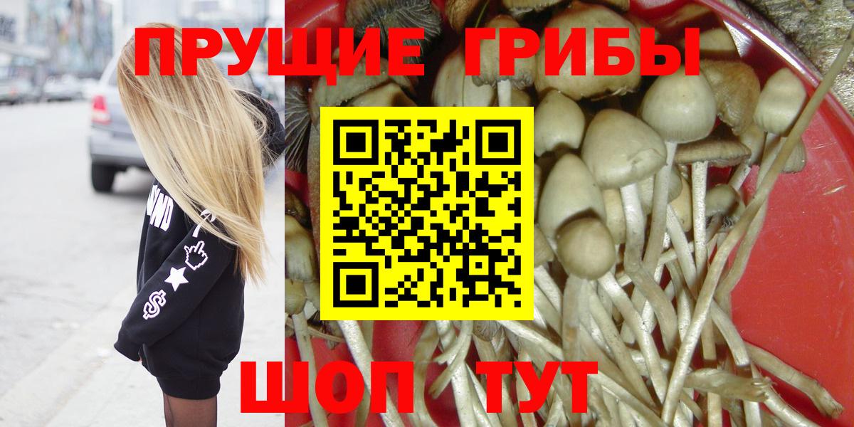 Галлюциногенные грибы Psilocybe  Вход с VPN  Смоленск 
